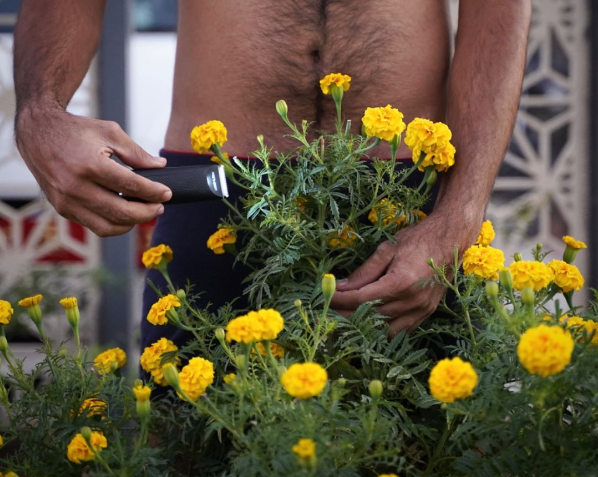 Men's Pubic Hair style: 10 Tried and True Styles