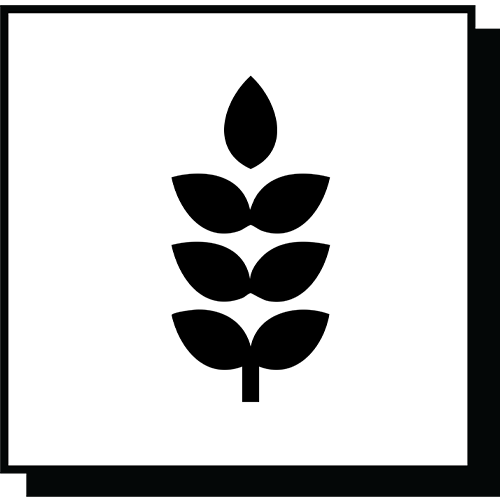 Paraben Free
