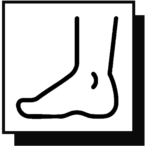 Foot